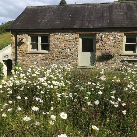 Danygraig Cottage 卡马森 外观 照片