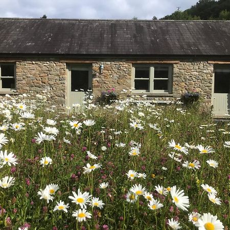 Danygraig Cottage 卡马森 外观 照片