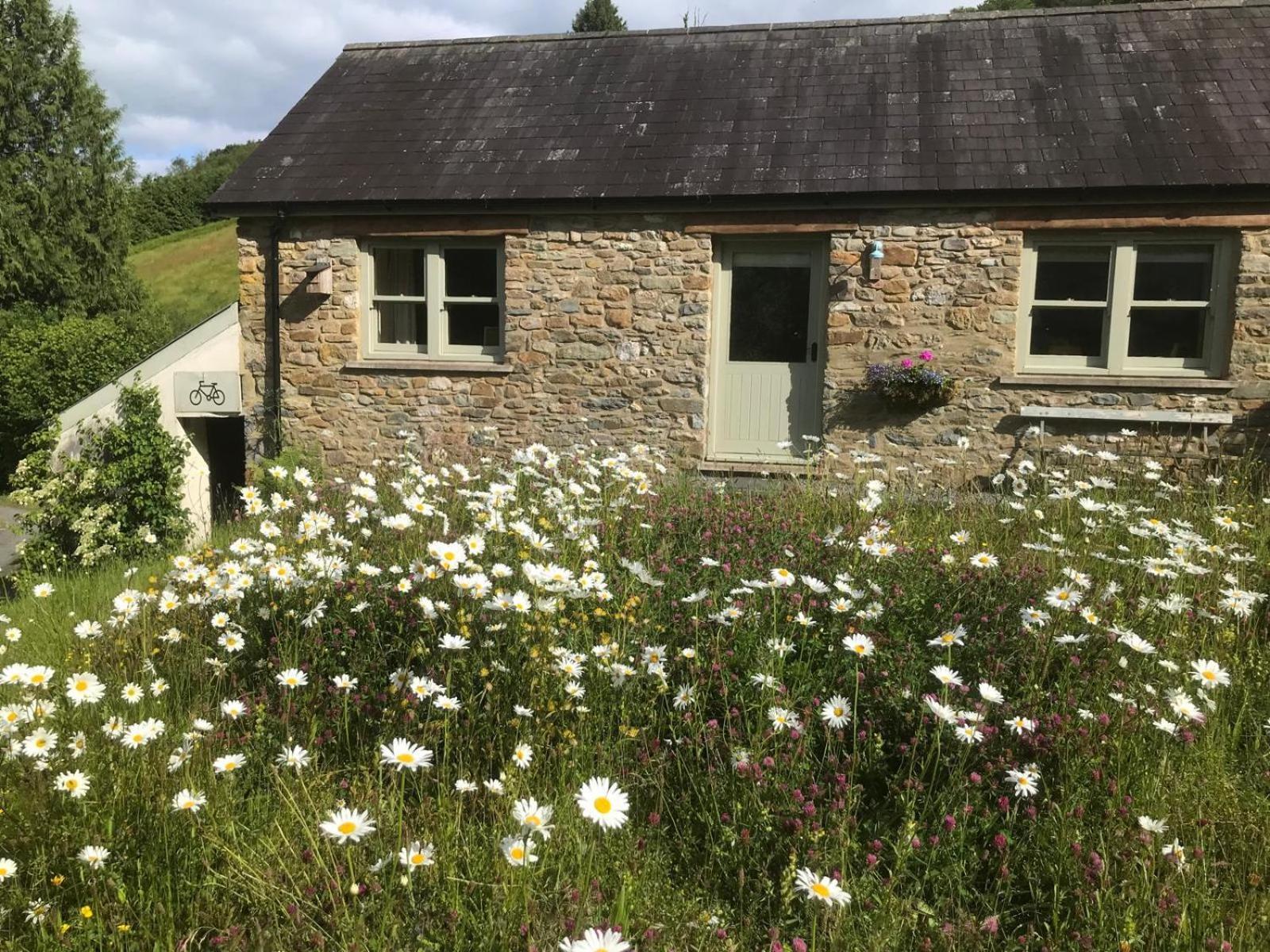 Danygraig Cottage 卡马森 外观 照片