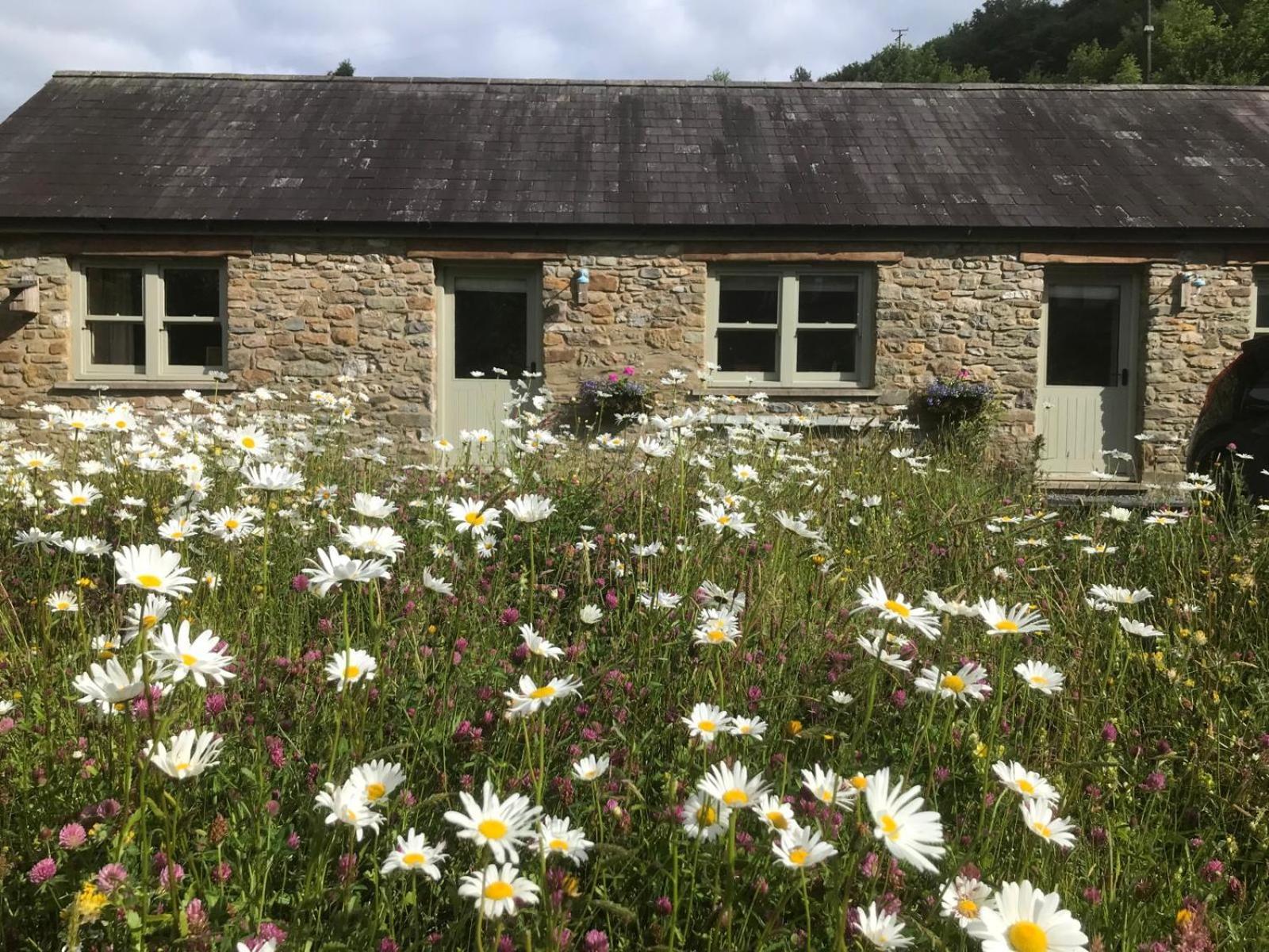 Danygraig Cottage 卡马森 外观 照片
