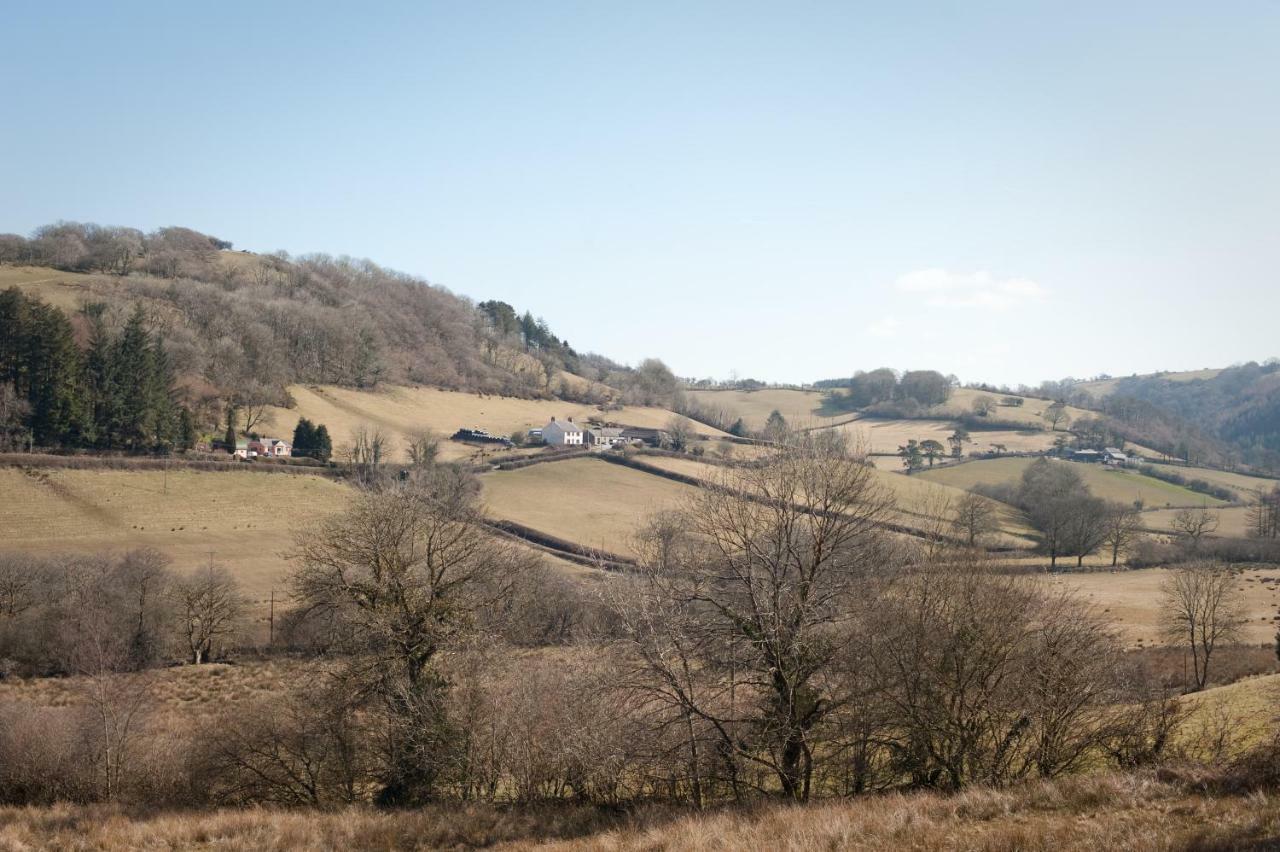 Danygraig Cottage 卡马森 外观 照片
