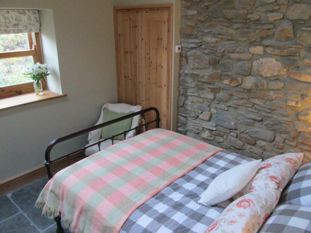 Danygraig Cottage 卡马森 外观 照片
