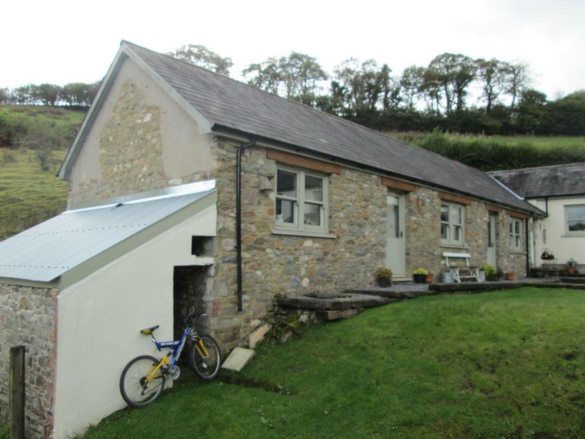 Danygraig Cottage 卡马森 外观 照片